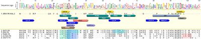 Predicted cellular interactors of the endogenous retrovirus-K protease enzyme